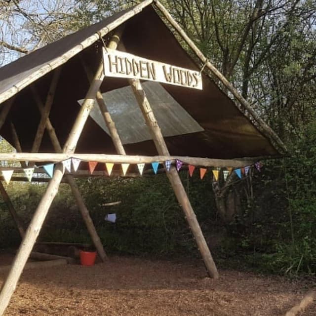 Hidden Woods